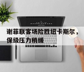爱游戏入口-谢菲联对纽卡斯尔联