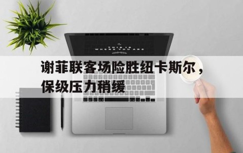 爱游戏入口-谢菲联对纽卡斯尔联